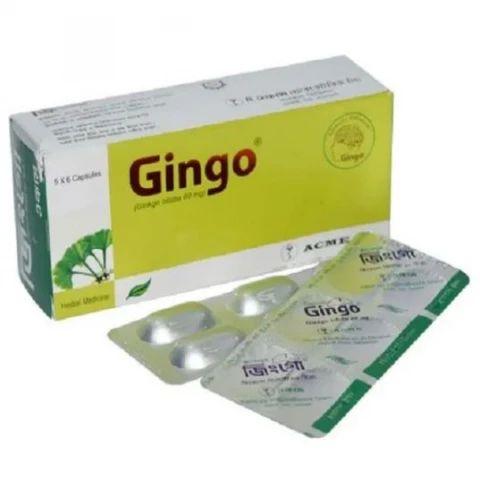 Gingo 60 Capsule 30 pcs